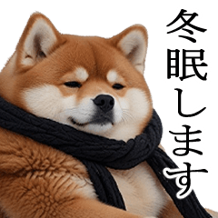 [LINEスタンプ] 【冬・年末年始】肥犬