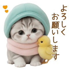 [LINEスタンプ] スコティッシュ猫とヒヨコ 可愛い日常 敬語