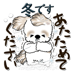 [LINEスタンプ] シーズー犬 2024『冬・思いやり』