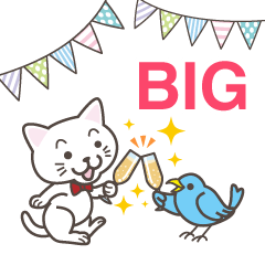 [LINEスタンプ] ねこたろ☆誕生日BIGスタンプ