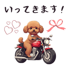 [LINEスタンプ] トイプードル(冬)メリクリ・あけおめ