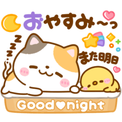 [LINEスタンプ] 毎日使いやすい♡ねこねこにゃんこ