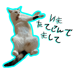 [LINEスタンプ] うーちゃんだ