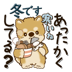 [LINEスタンプ] 柴犬・茶色い犬さん 2024『冬・思いやり』