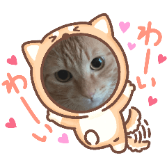 [LINEスタンプ] メンポンあいさつスタンプ♡