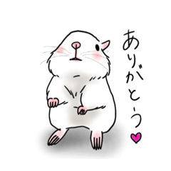 [LINEスタンプ] ホワイトデグーの可愛い1日