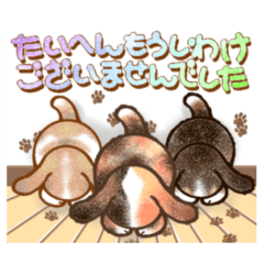 [LINEスタンプ] はろぅ❤︎えぶりワン