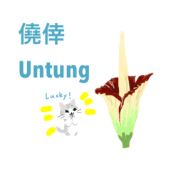 [LINEスタンプ] インドネシア＆日本語⭐️kucingねこ⭐️文化