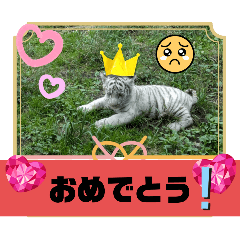 [LINEスタンプ] アニマル・サファリ2