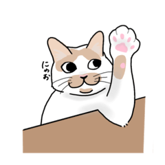 [LINEスタンプ] 可愛いにゃんにゃんず