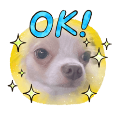 [LINEスタンプ] とうふ時々オクラ