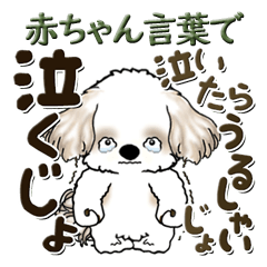 [LINEスタンプ] シーズー犬 2024『赤ちゃん言葉で』