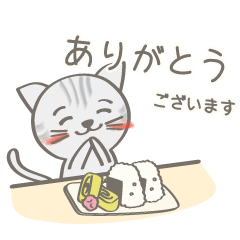 [LINEスタンプ] ねこと毎日のこと