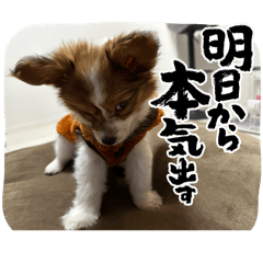 [LINEスタンプ] るるたろう集