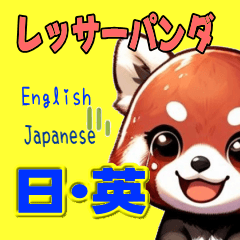 [LINEスタンプ] レッサーパンダ 毎日使用 日本語英語