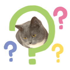 [LINEスタンプ] トム君チャンネルのスタンプ