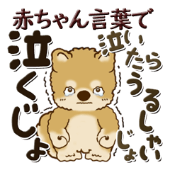 [LINEスタンプ] 柴犬・茶色い犬 2024『赤ちゃん言葉で』