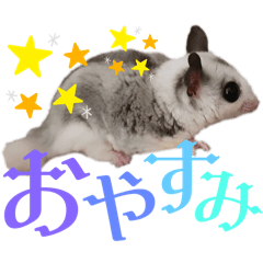 [LINEスタンプ] ぽころさんち