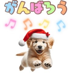 [LINEスタンプ] BIGスタンプ ゴールデンレトリバー子犬❤️