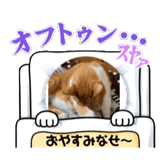 [LINEスタンプ] ゆかりんアニメーションスタンプ