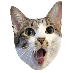 [LINEスタンプ] うずめの毎日3