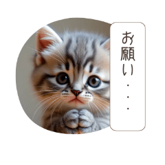 [LINEスタンプ] ももりんこにゃんこスタンプ3