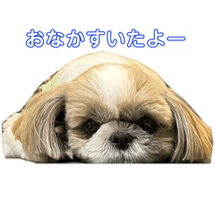 [LINEスタンプ] うちの『さくらさん』