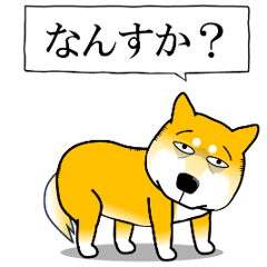 [LINEスタンプ] よく職務質問をうける柴犬