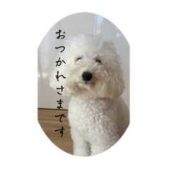 [LINEスタンプ] うめまめ 挨拶の画像（メイン）