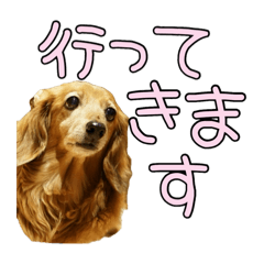 [LINEスタンプ] はなのスタンプの巻3