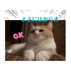 [LINEスタンプ] ちゅらうにすたんぷ