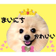 [LINEスタンプ] はる王子になれるのか？