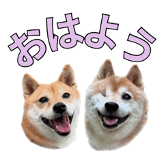 [LINEスタンプ] こたちよのスタンプの巻2