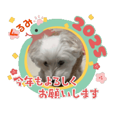 [LINEスタンプ] くるみの年末年始2024-2025