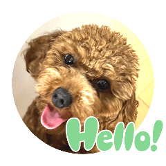 [LINEスタンプ] モナちゃん 2