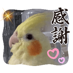 [LINEスタンプ] みんなと一緒 30