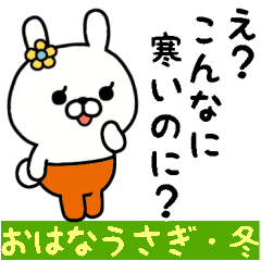 [LINEスタンプ] おはなうさぎのスタンプ/冬にぴったり編