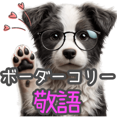 [LINEスタンプ] 【敬語仕事】で使える‼ボーダーコリー1