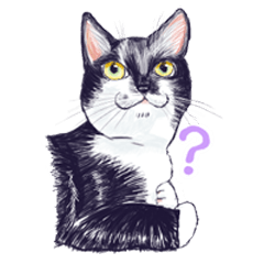 [LINEスタンプ] 我が家の猫3匹達