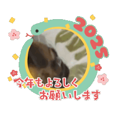 [LINEスタンプ] きょうのこぶし2025のアニメスタンプ