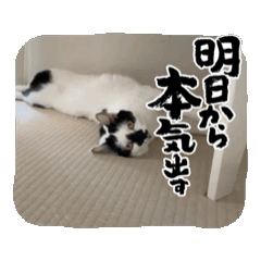 [LINEスタンプ] ジンとヒメ