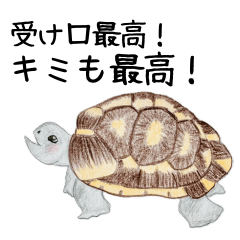 [LINEスタンプ] 陸亀の大和