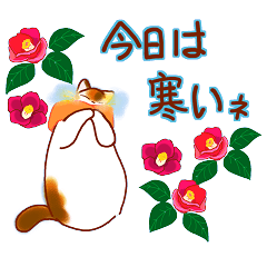 [LINEスタンプ] 和風猫＜冬ですね＞