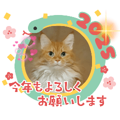 [LINEスタンプ] 2024-25シーズン