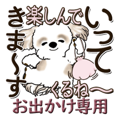 [LINEスタンプ] シーズー犬 『お出かけ専用』