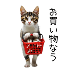 [LINEスタンプ] みんなの三毛猫さん