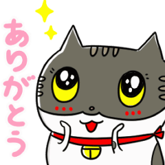 [LINEスタンプ] ねこの会話シャーミー編（日常生活⓷）