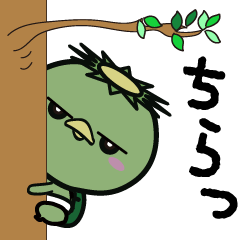 [LINEスタンプ] カッパくん あれこれ 日常会話