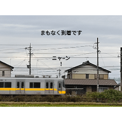 [LINEスタンプ] きつね鉄道のスタンプ（リアル版）