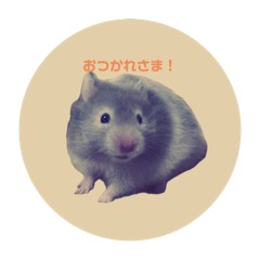 [LINEスタンプ] もろこしすたんピ